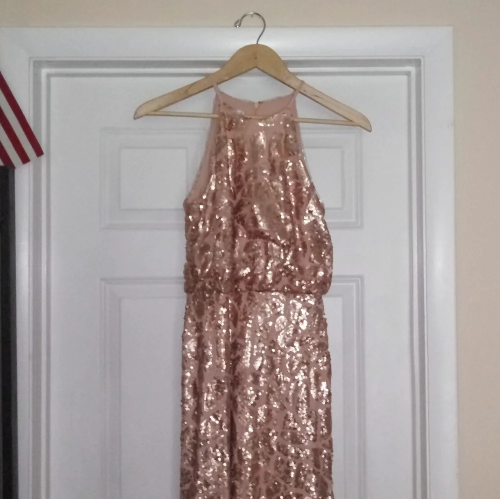 Donna Morgan Tiffany Sequin Gown Size 2